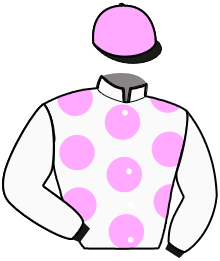 casaque portée par Marie B. jockey du cheval de course HIGH FIRE DAIRPET, information pmu ZETURF