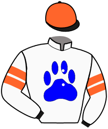 casaque portée par Laquai Mme J. jockey du cheval de course PASSAGE MESLAY, information pmu ZETURF