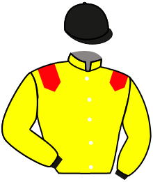 casaque portée par Soumillon C. jockey du cheval de course QUEEN'S ANGEL, information pmu ZETURF