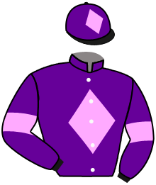 casaque portée par Gauffenic N. jockey du cheval de course GOLDEN FALLS, information pmu ZETURF