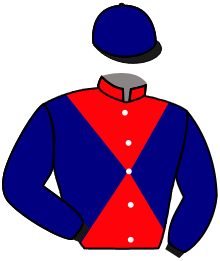 casaque portée par Nail-rocher Vic. jockey du cheval de course GARYLIA TALISKER, information pmu ZETURF