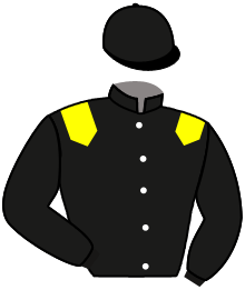 casaque portée par De Giles F. jockey du cheval de course AMOUR DU ROI, information pmu ZETURF