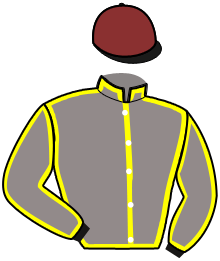 casaque portée par Q. Chauve-Laffay jockey du cheval de course LUCKY BENOIT, information pmu ZETURF