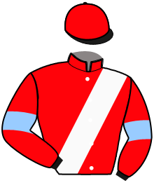casaque portée par E. Fournigault jockey du cheval de course LOULOU DE L'ILLE, information pmu ZETURF