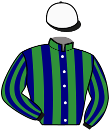 casaque portée par B. Thienne jockey du cheval de course LORD DE BUCHATIERE, information pmu ZETURF