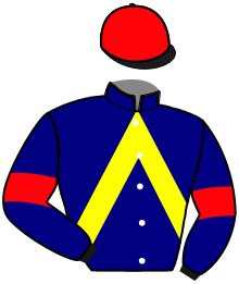casaque portée par D. Bekaert jockey du cheval de course LEVEL UP STAR, information pmu ZETURF