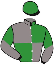 casaque portée par Delaune G. jockey du cheval de course MUSE DE BANVILLE, information pmu ZETURF