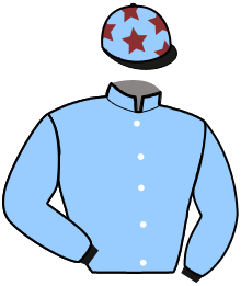 casaque portée par Aube L. jockey du cheval de course KOSETTE DU HAMEL, information pmu ZETURF