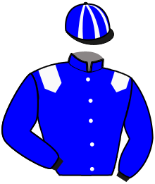 casaque portée par Nicole Ch. jockey du cheval de course JOYCE DES GRANGES, information pmu ZETURF