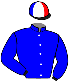 casaque portée par Popot A. jockey du cheval de course JOCELYNE, information pmu ZETURF