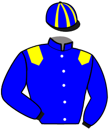 casaque portée par Lebourgeois Y. jockey du cheval de course HYSIS VENESI, information pmu ZETURF