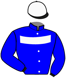 casaque portée par Abrivard M. jockey du cheval de course KER MIEL, information pmu ZETURF