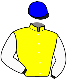 casaque portée par Lefevre Dav. jockey du cheval de course KERMESSE DU CROCQ, information pmu ZETURF casaque portée par Lefevre Dav. jockey du cheval de course KERMESSE DU CROCQ, information pmu ZETURF
