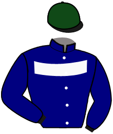 casaque portée par Verva Pie. Y. jockey du cheval de course LYNN CRISTAL, information pmu ZETURF