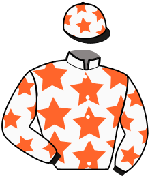 casaque portée par Hervagault St. jockey du cheval de course JALOGNY, information pmu ZETURF