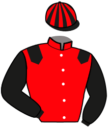casaque portée par Pasquier S. E. jockey du cheval de course KADOR DU MONT, information pmu ZETURF