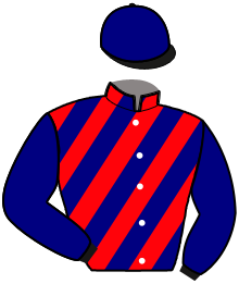 casaque portée par Levesque Mlle T. jockey du cheval de course LE COQUIN, information pmu ZETURF