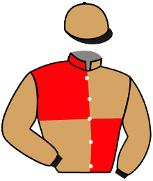 casaque portée par Moutard Jer. jockey du cheval de course BRODURE, information pmu ZETURF