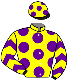 casaque portée par Grandin M. jockey du cheval de course ARCUBIATU, information pmu ZETURF