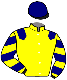 casaque portée par Desmottes A. jockey du cheval de course LUBIE D'URZY, information pmu ZETURF
