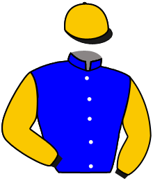 casaque portée par Doyle Jam. W. jockey du cheval de course MAP OF STARS, information pmu ZETURF
