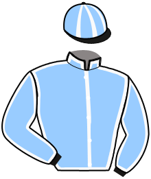 casaque portée par Viel Th. J. jockey du cheval de course KAROLYNE DE MALAC, information pmu ZETURF