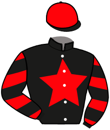 casaque portée par Lemonnier Mlle J. jockey du cheval de course HELOUIS DE ZAERI, information pmu ZETURF