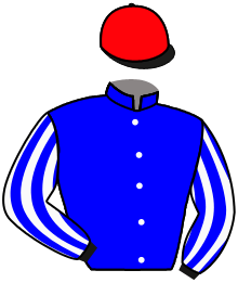 casaque portée par Thiebaut Mlle O. jockey du cheval de course LA FERRETCAPIENNE, information pmu ZETURF