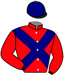 casaque portée par Velon Mlle M. jockey du cheval de course FLAINE, information pmu ZETURF