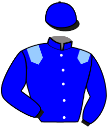 casaque portée par Lebourgeois Y. jockey du cheval de course LAY UP, information pmu ZETURF