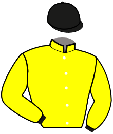 casaque portée par Croisic Mme Est. jockey du cheval de course HANNAH, information pmu ZETURF