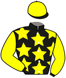 casaque portée par Enault C. jockey du cheval de course FEE LUCERNAISE, information pmu ZETURF
