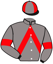 casaque portée par Naveau A. jockey du cheval de course FORUM MESLOIS, information pmu ZETURF