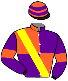 casaque portée par Valle Skar Mlle F. jockey du cheval de course ARMORIQUE, information pmu ZETURF