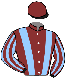 casaque portée par Hardouin E. jockey du cheval de course GOGOKA, information pmu ZETURF
