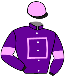 casaque portée par Lemaitre A. jockey du cheval de course ICE CLIMBER, information pmu ZETURF