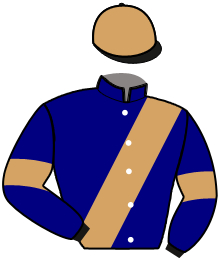 casaque portée par Corbineau Ch. jockey du cheval de course LOOK QALI, information pmu ZETURF