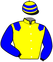 casaque portée par Jannier A. jockey du cheval de course KILLER DE MILLAC, information pmu ZETURF