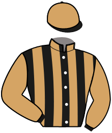 casaque portée par Mottier M. jockey du cheval de course JAGUAR DE DALINE, information pmu ZETURF