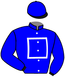 casaque portée par Orani Ant. jockey du cheval de course MOZART DES BRIERES, information pmu ZETURF