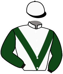 casaque portée par Millet G. jockey du cheval de course LIVING NELSON, information pmu ZETURF