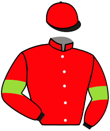 casaque portée par Riou C. jockey du cheval de course LA SEULE FACON, information pmu ZETURF