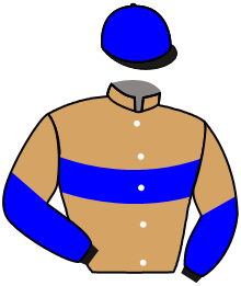 casaque portée par Raimbault C. jockey du cheval de course GROOMER, information pmu ZETURF