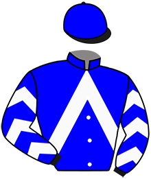 casaque portée par Trihollet Mlle M. jockey du cheval de course ISA DU PRESSOIR, information pmu ZETURF