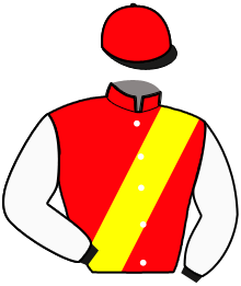 casaque portée par Robin F. jockey du cheval de course HOBBY DU LOISIR, information pmu ZETURF