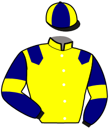casaque portée par Adelaide Th. jockey du cheval de course ITALIANO, information pmu ZETURF
