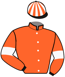 casaque portée par Gilles S. jockey du cheval de course INSTIGATEUR, information pmu ZETURF