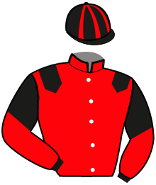 casaque portée par Corbineau Ch. jockey du cheval de course MENDELEIEV, information pmu ZETURF