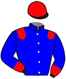 casaque portée par Masschaele Ph. jockey du cheval de course KAUDAN D'HOULBEC, information pmu ZETURF