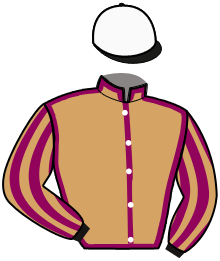 casaque portée par Huygens Mlle H. jockey du cheval de course PRIVATE BANKER SB, information pmu ZETURF